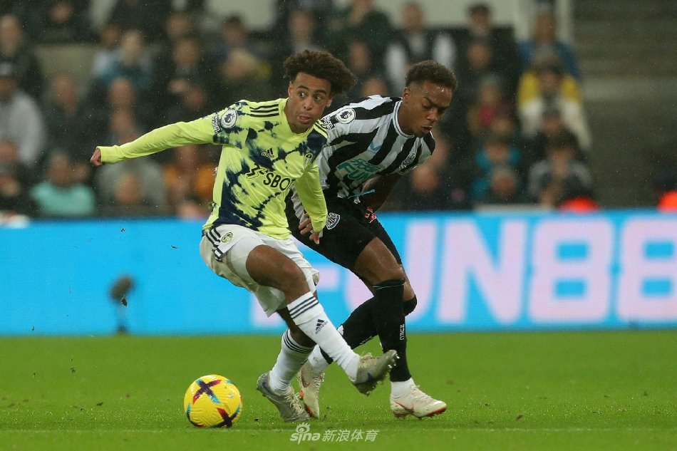 就能打牢后 就能打牢后